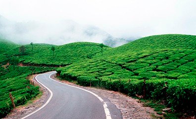 Yahya Rent a Car-Tourism Packages & Services